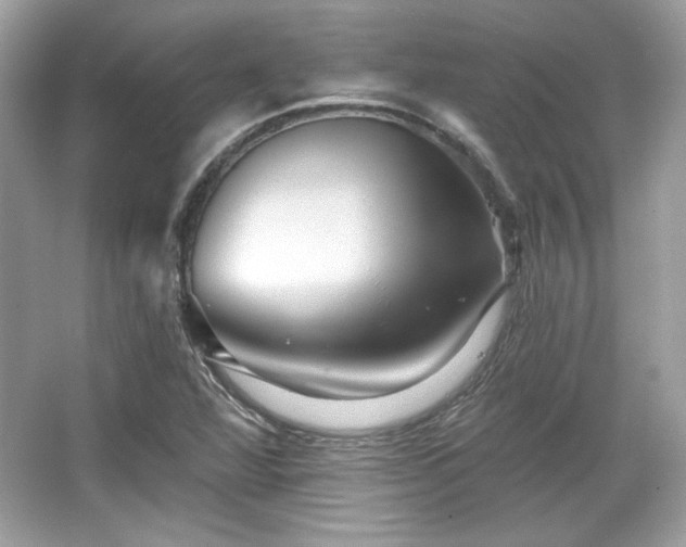 X0000065991360200603101453