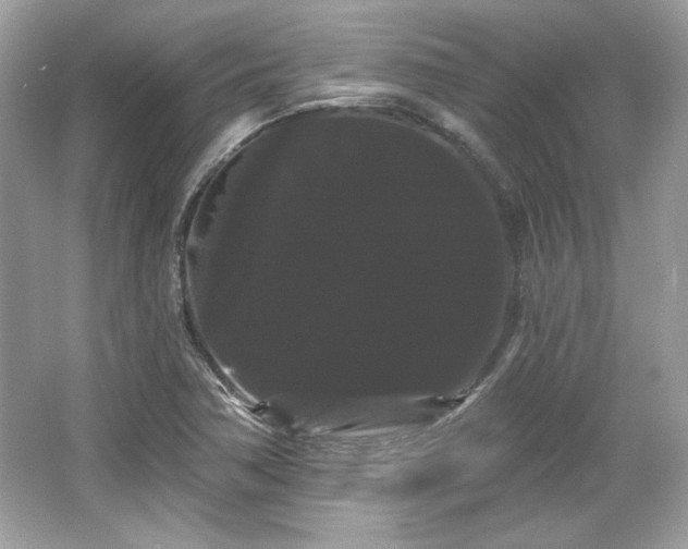 X0000065991362200603101453