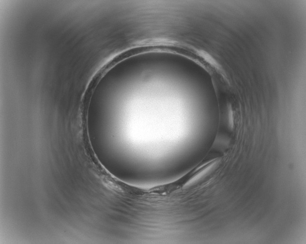 X0000065991364200603101453