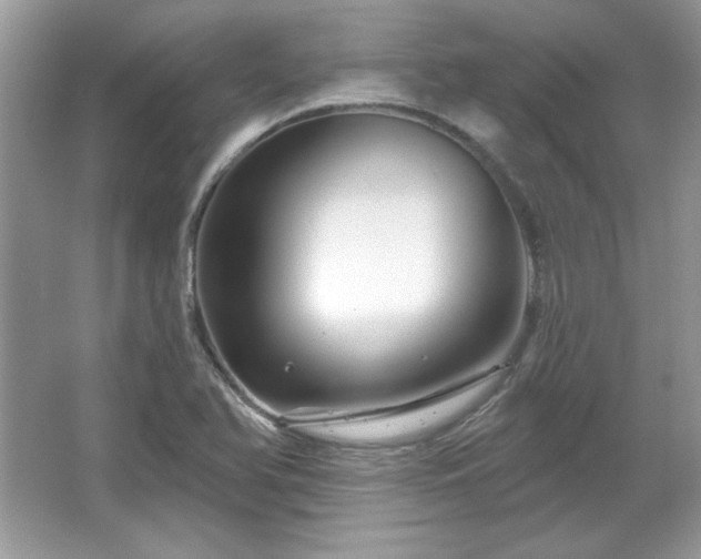 X0000065991366200603101453