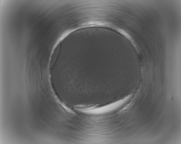 X0000065991373200603101453