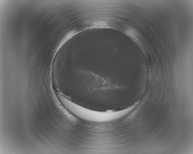 X0000065991378200603101453