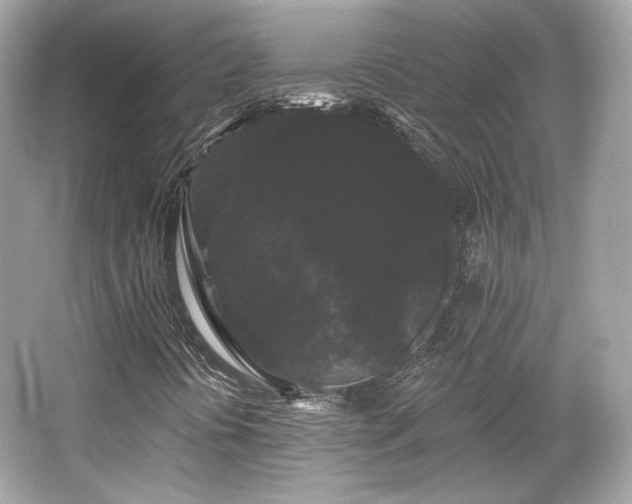 X0000065991394200603101452