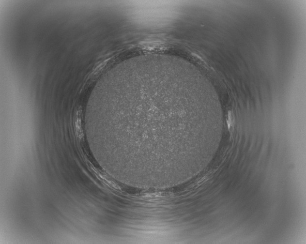 X0000065991396200603101452