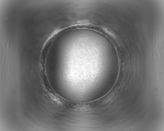 X0000065991400200603101452