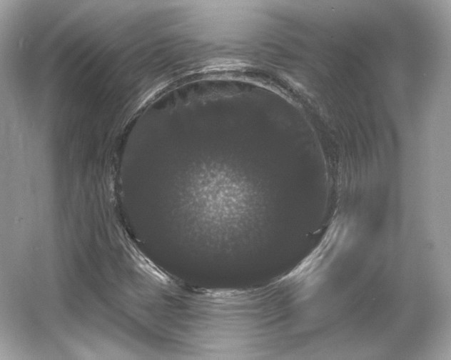 X0000065991401200603101452
