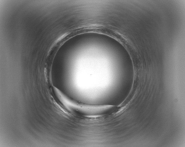X0000065991402200603101452