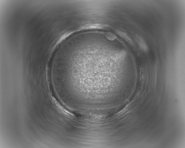 X0000065991404200603101452