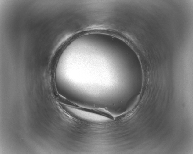 X0000065991406200603101452