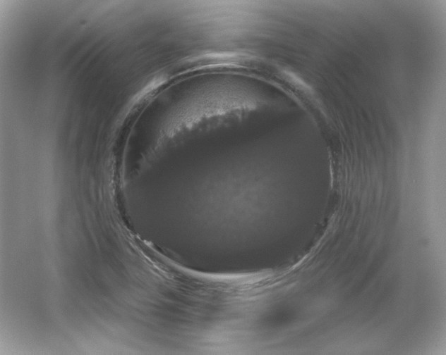 X0000065991411200603101452