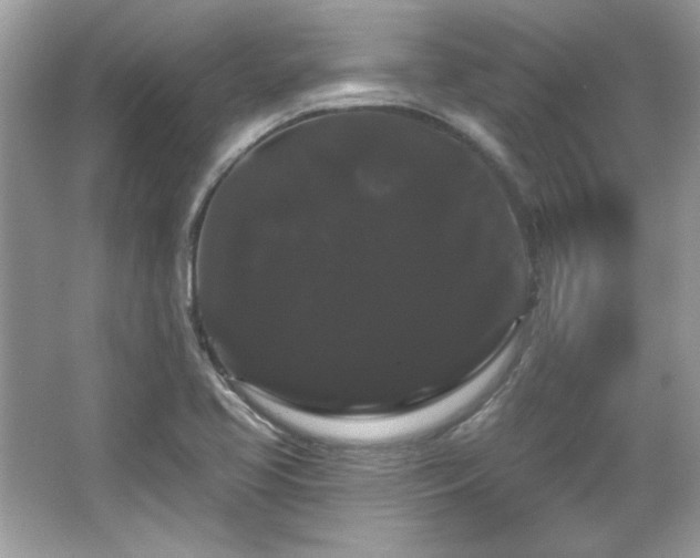 X0000065991413200603101452