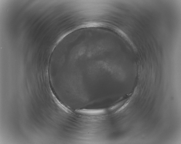 X0000065991417200603101453