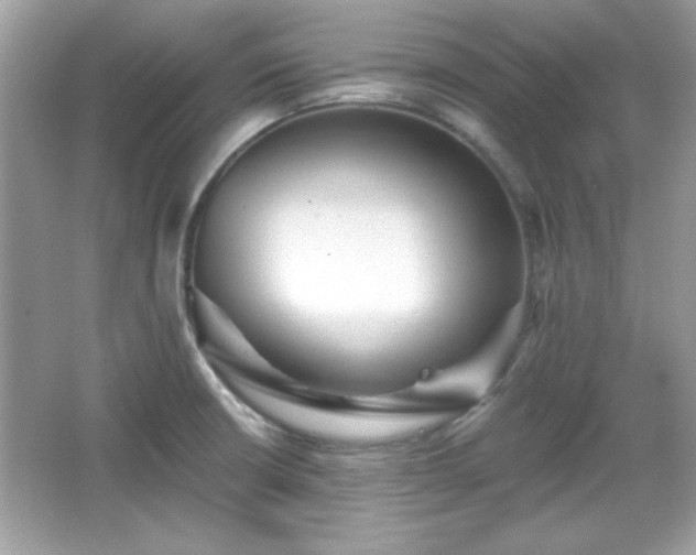 X0000065991426200603101453
