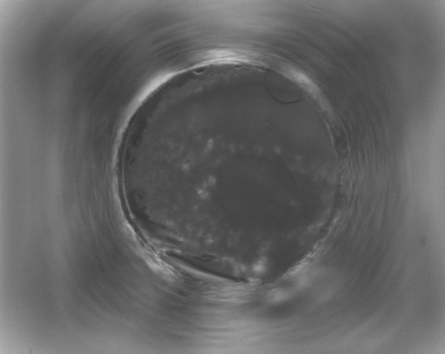 X0000065991427200603101453