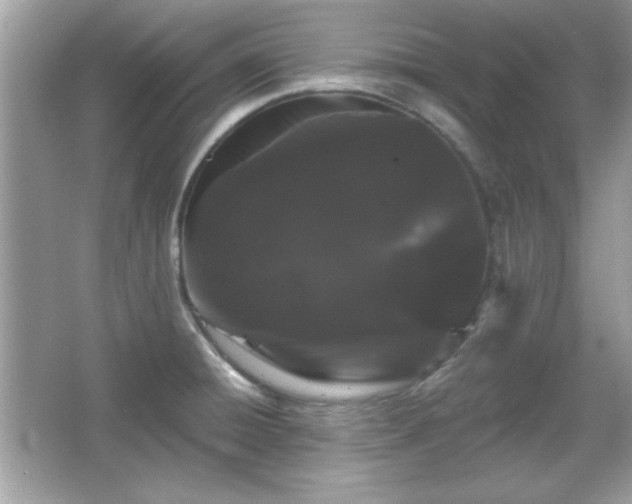 X0000065991428200603101453