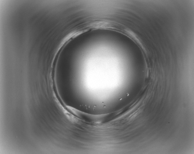 X0000065991434200603101453