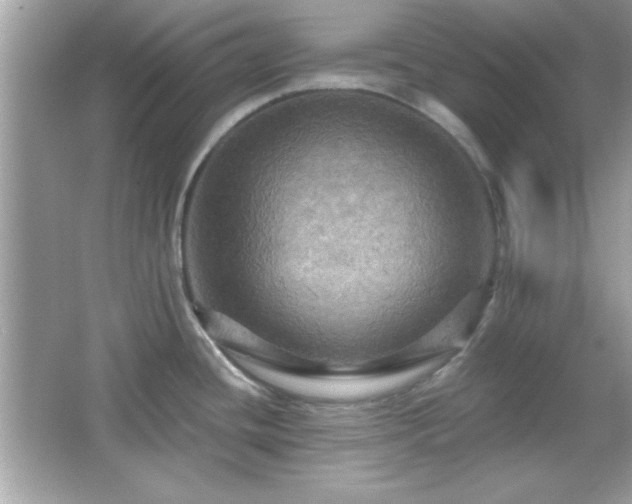 X0000065991436200603101453