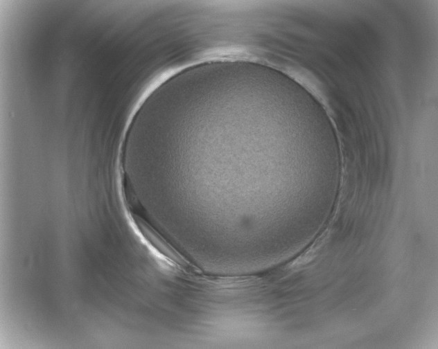X0000065991440200603101453