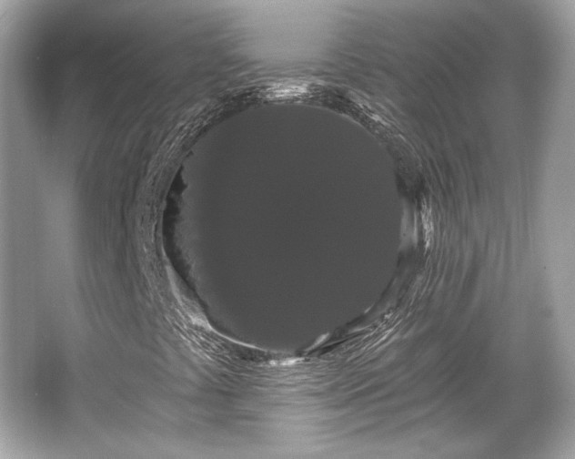X0000065991441200603101452