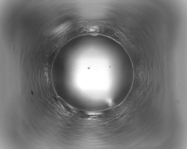 X0000065991442200603101452