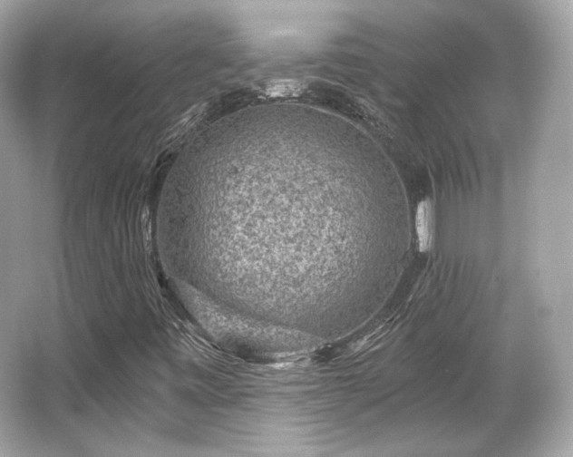 X0000065991443200603101452