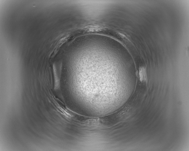 X0000065991444200603101452