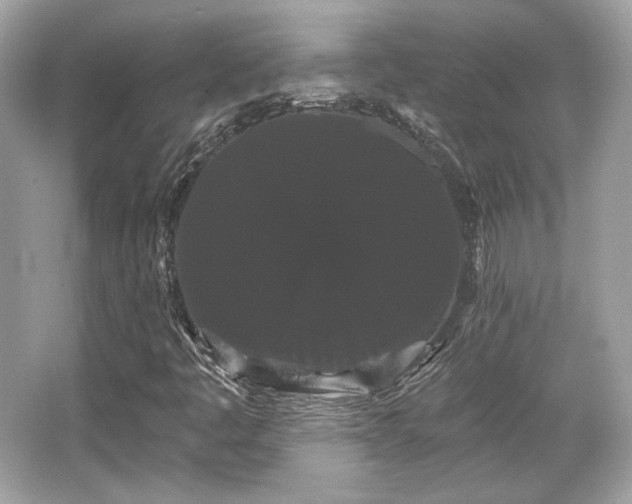 X0000065991445200603101452