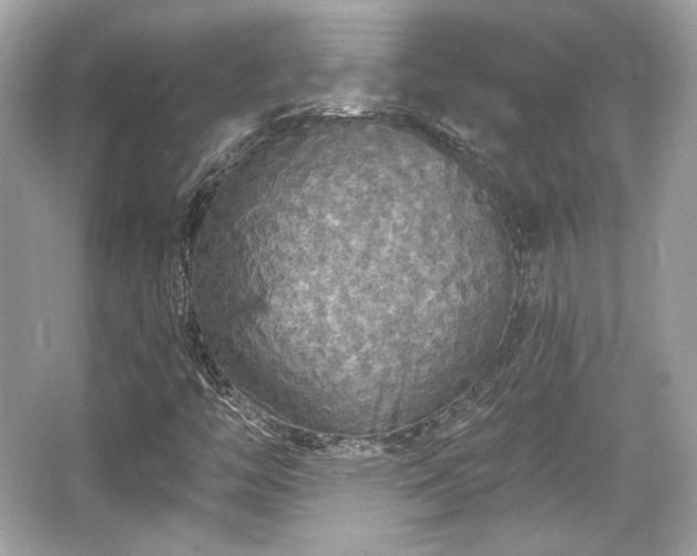X0000065991446200603101452