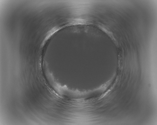X0000065991453200603101452