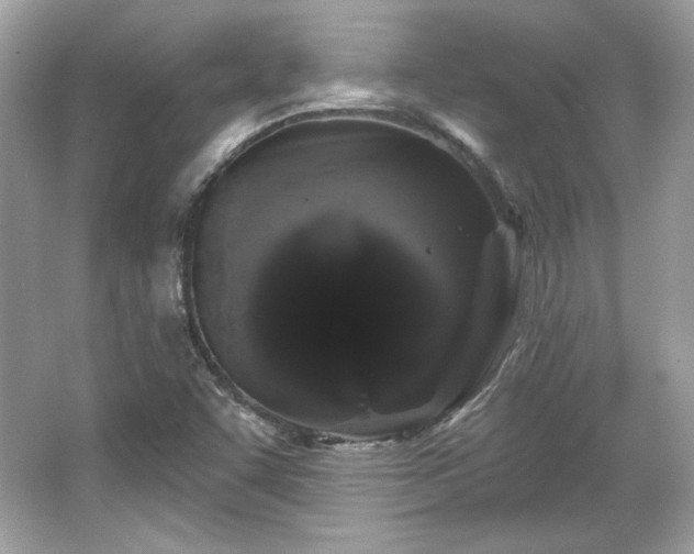 X0000065991455200603101452