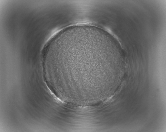 X0000065991456200603101452