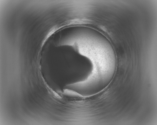 X0000065991459200603101452