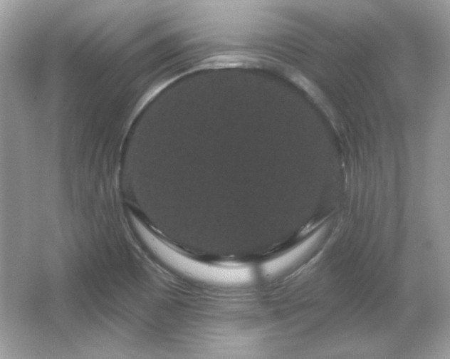 X0000065991465200603101452
