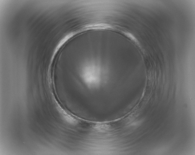 X0000065991466200603101452