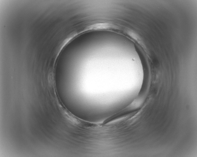 X0000065991473200603101452