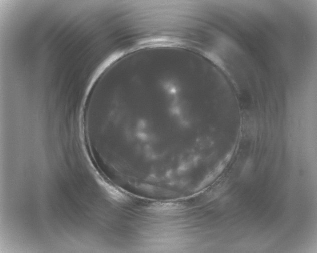 X0000065991474200603101452