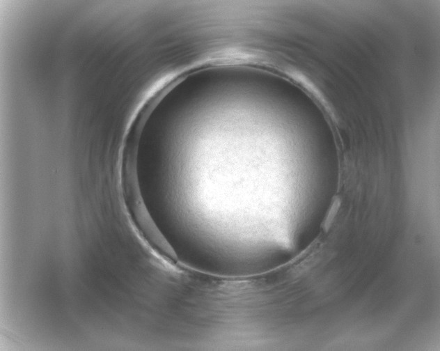 X0000065991477200603101452