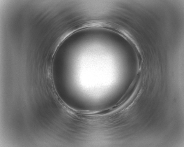 X0000065991481200603101451
