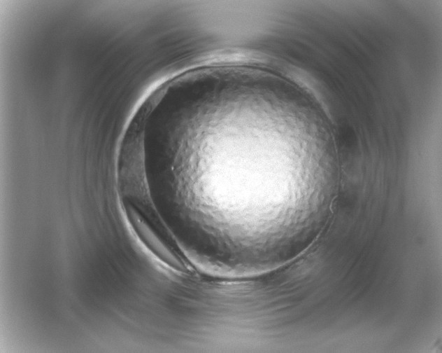 X0000065991483200603101451