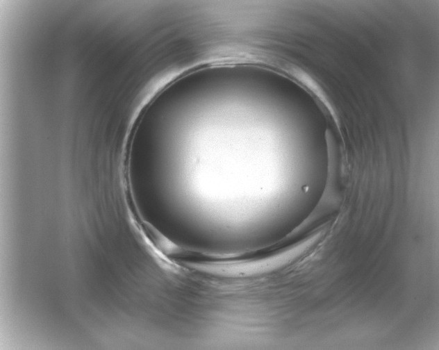 X0000065991485200603101451