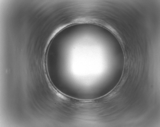 X0000065991486200603101451