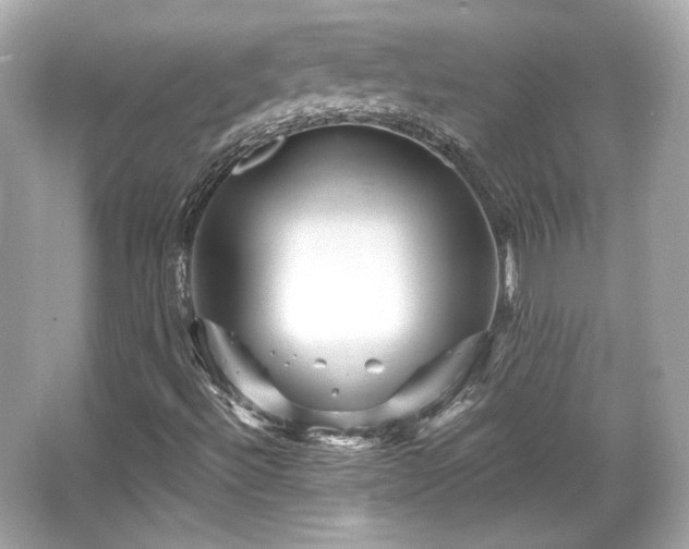 X0000065991492200603101451