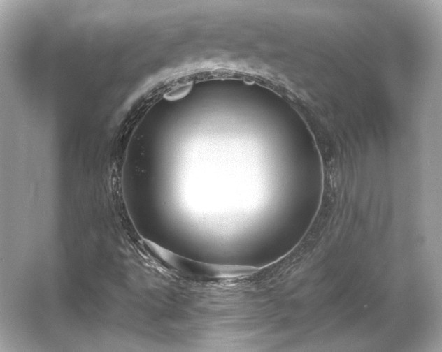 X0000065991495200603101451