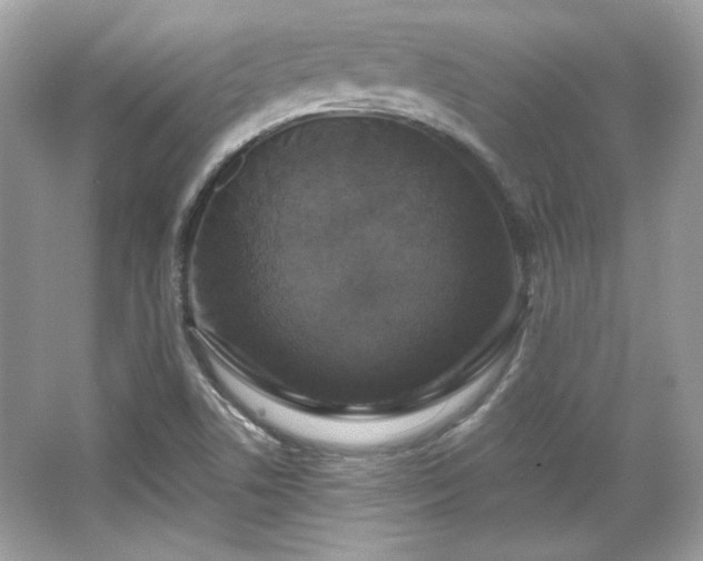 X0000065991506200603101451
