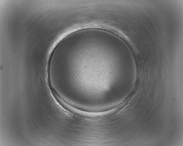 X0000065991512200603101451