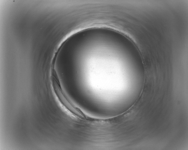 X0000065991526200603101451