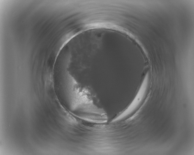 X0000065991529200603101451