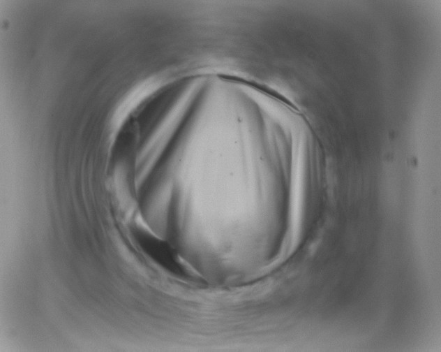 X0000065990007200603172152