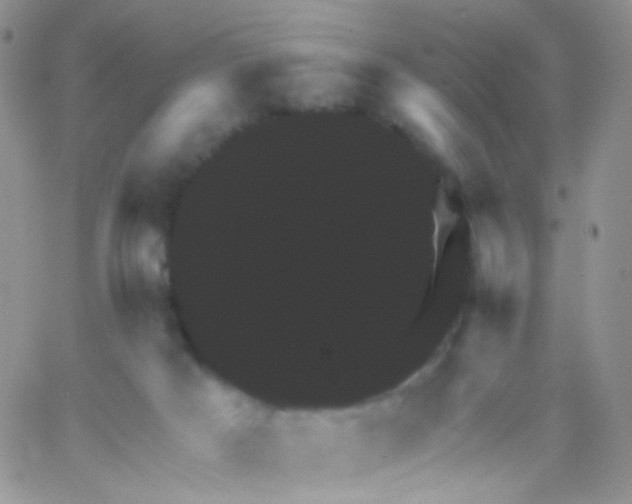 X0000065990025200603172151