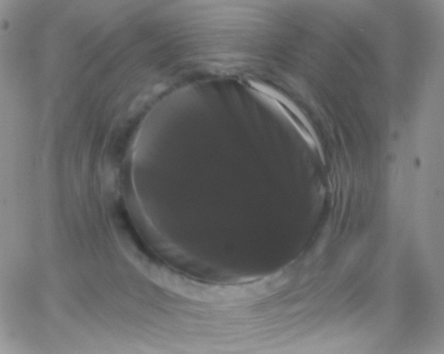X0000065990031200603172151